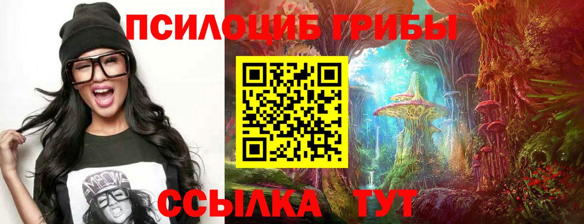 Галлюциногенные грибы Psilocybe  Вход с VPN  Нововоронеж 