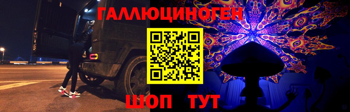 Галлюциногенные грибы Psilocybe Нововоронеж