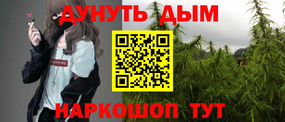 Конопля гибрид  Вход с VPN  Нововоронеж  Марихуана VHQ  Канабис планчик  Марихуана LSD WEED 